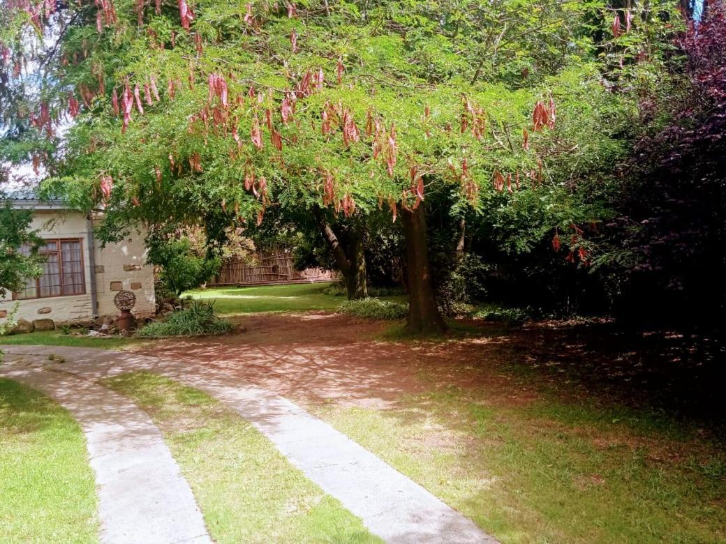 Rheola'S Guest Cottage Harrismith Ngoại thất bức ảnh